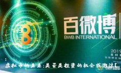 :虚拟币的未来：是否是投