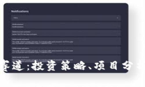 完整内容：


虚拟币各个赛道：投资策略、项目分析与未来趋势