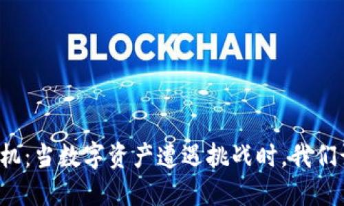 虚拟币的危机：当数字资产遭遇挑战时，我们该如何应对？