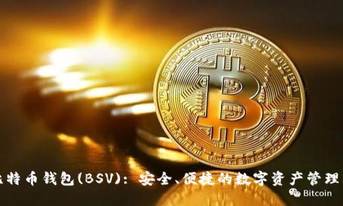 TP比特币钱包(BSV): 安全、便捷的数字资产管理利器