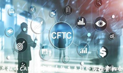 
虚拟币CAN：数字货币的未来趋势与投资机会