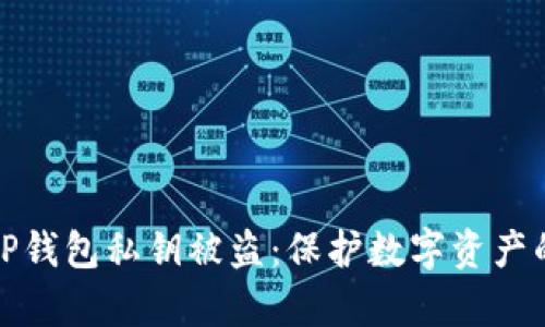 如何防范TP钱包私钥被盗：保护数字资产的有效策略