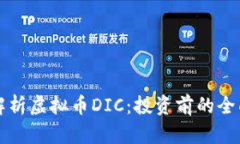 深入解析虚拟币DIC：投资