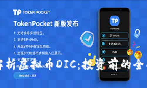 深入解析虚拟币DIC：投资前的全面指南