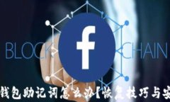 丢失TP钱包助记词怎么办？