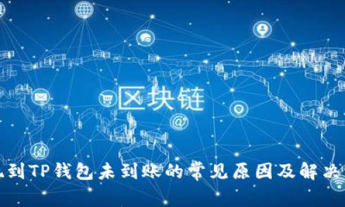 提现到TP钱包未到账的常见原因及解决方案