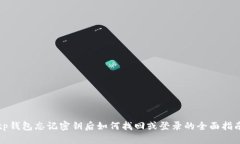 tp钱包忘记密钥后如何找回