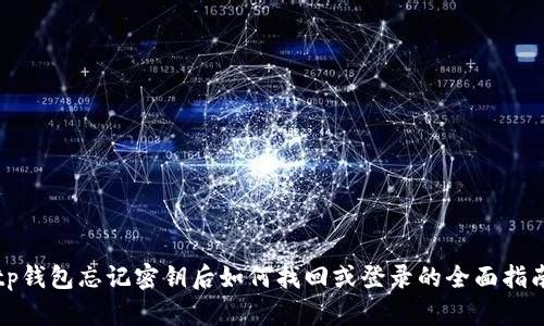 tp钱包忘记密钥后如何找回或登录的全面指南