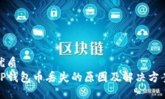优质 TP钱包币丢失的原因