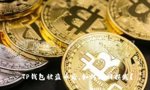  TP钱包被盗币后，如何追回损失？