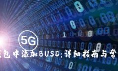 如何在TP钱包中添加BUSD：