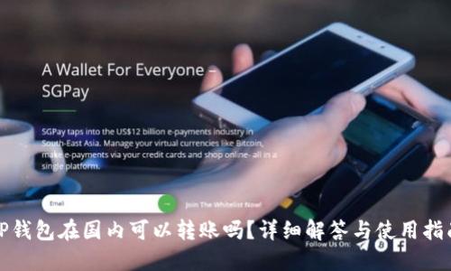 TP钱包在国内可以转账吗？详细解答与使用指南