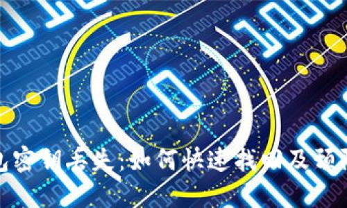 TP钱包密钥丢失：如何快速找回及预防措施