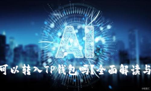 国内NFT可以转入TP钱包吗？全面解读与实操指南