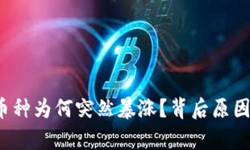  TP钱包购买的币种为何突然暴涨？背后原因分析与投资建议