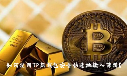 如何使用TP新钱包安全快速地输入薄饼？