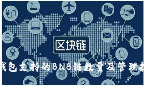 TP钱包支持的BNB链数量及管理技巧