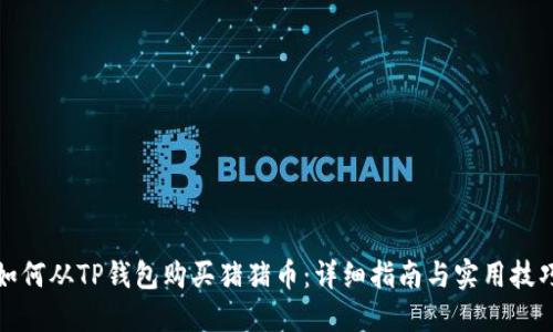 如何从TP钱包购买猪猪币：详细指南与实用技巧