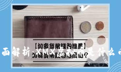 全面解析：XMX虚拟币是什么币？