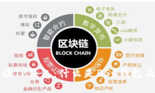 全面解读TP钱包：什么是BSC钱包及其功能