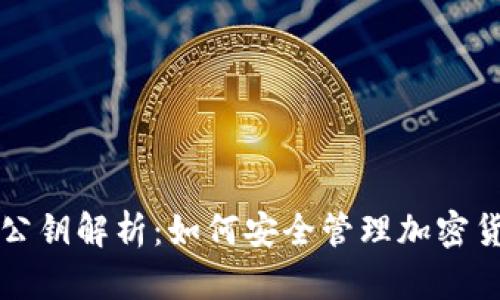 TP钱包公钥解析：如何安全管理加密货币资产