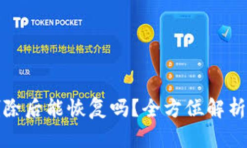 TP钱包被删除后能恢复吗？全方位解析与解决方案