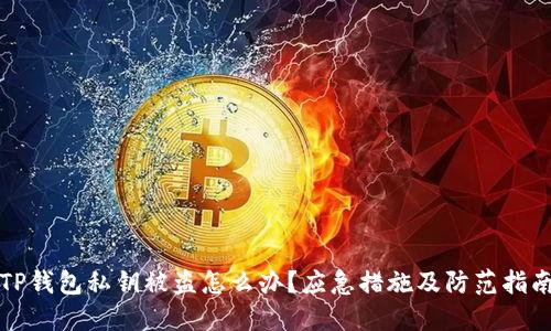 TP钱包私钥被盗怎么办？应急措施及防范指南
