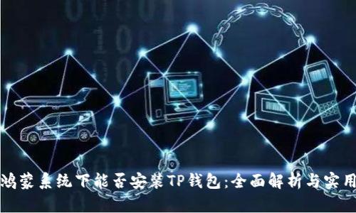 优质鸿蒙系统下能否安装TP钱包：全面解析与实用指南