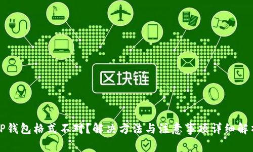TP钱包格式不对？解决方法与注意事项详细解析