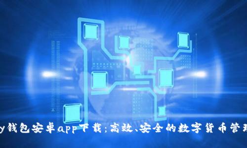 OKPay钱包安卓app下载：高效、安全的数字货币管理工具