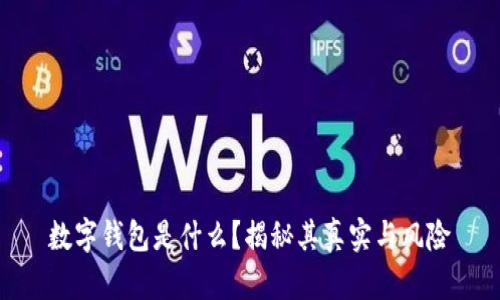 数字钱包是什么？揭秘其真实与风险