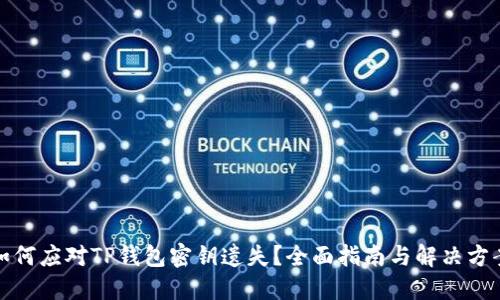 如何应对TP钱包密钥遗失？全面指南与解决方案