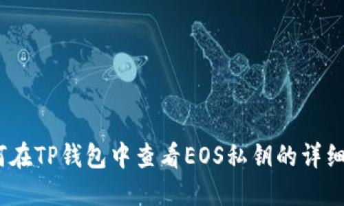  如何在TP钱包中查看EOS私钥的详细步骤