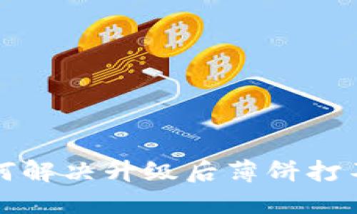 TP钱包如何解决升级后薄饼打不开的问题