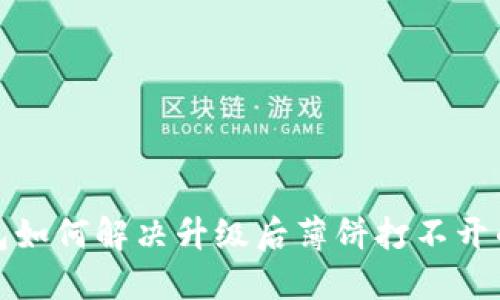 TP钱包如何解决升级后薄饼打不开的问题