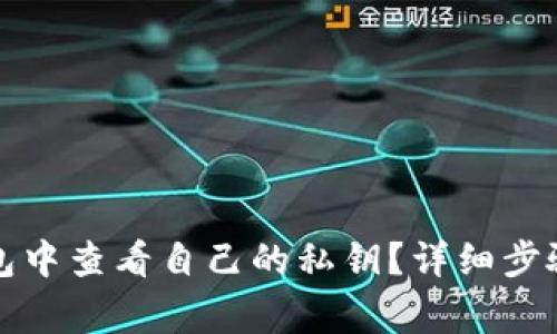 如何在TP钱包中查看自己的私钥？详细步骤与注意事项