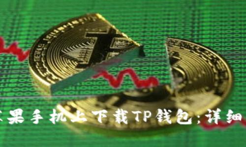 如何在苹果手机上下载TP钱包：详细流程指南
