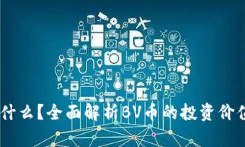 BV虚拟币是什么？全面解析BV币的投资价值与未来潜力