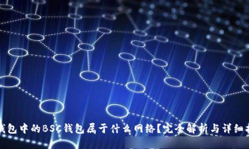 TP钱包中的BSC钱包属于什么网络？完全解析与详细指南