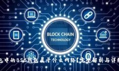TP钱包中的BSC钱包属于什么