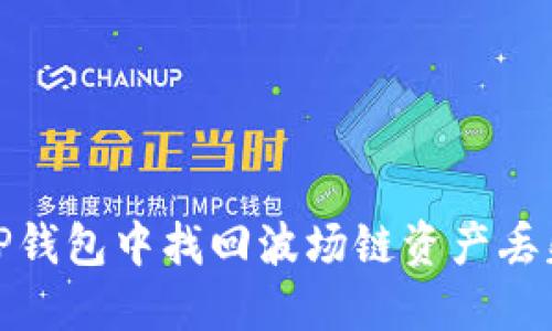 如何在TP钱包中找回波场链资产丢失的资金