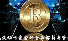 TP钱包流动性资金的全面解