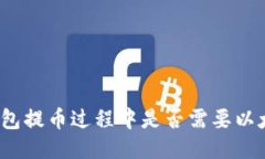 优质TP钱包提币过程中是否