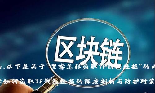 好的，以下是关于“黑客怎样盗取TP钱包数据”的内容。

黑客如何盗取TP钱包数据的深度剖析与防护对策