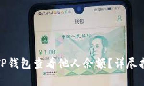 建议如何通过TP钱包查看他人余额？详尽指南与实用技巧