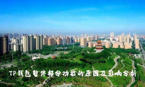 TP钱包暂停部分功能的原因及影响分析