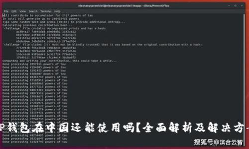TP钱包在中国还能使用吗？全面解析及解决方案
