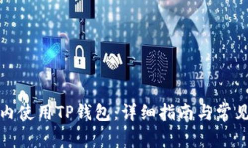 如何在国内使用TP钱包：详细指南与常见问题解答