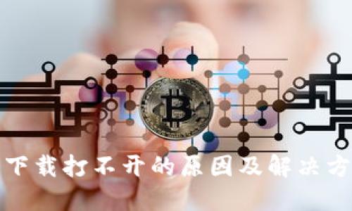 TP钱包下载打不开的原因及解决方案详解