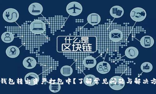 TP钱包转出资产打包中？了解常见问题与解决方案